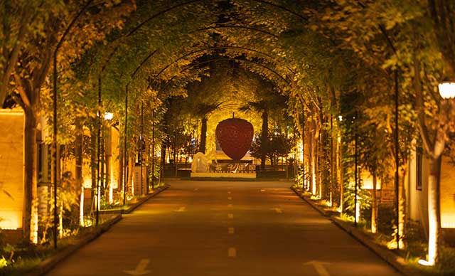 西安市·周至县·萌梅子庄园营地